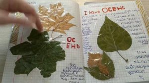 МОЙ ОСЕННИЙ ЛИЧНЫЙ ДНЕВНИК | ОБЗОР С ИДЕЯМИ ДЛЯ ЛД🍁