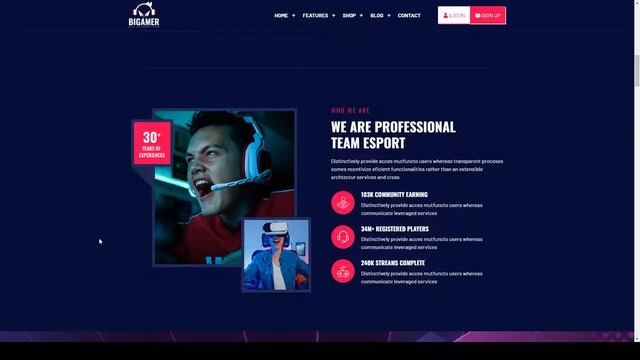 Bigamer - eSports And Gaming Tournaments React Js Template gaming react js gaming template смотреть онлайн