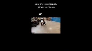 КУЕРТОВА БРОСИЛА ДЕВУШКА