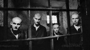 Как Чипу в тюрьме отпетушили