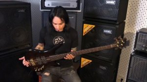 Warwick Corvette $$ 4st overview/ обзор