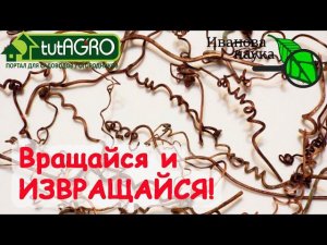 НАУЧНАЯ ПЯТНИЦА. ИЗВРАЩЕНИЯ В САДУ. Это гораздо ИНТЕРЕСНЕЕ, чем некоторые ДУМАЮТ! Они ЕСТЕСТВЕННЫЕ!