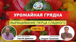 ВЫРАЩИВАНИЕ ПЕРЦА СЛАДКОГО, часть 2