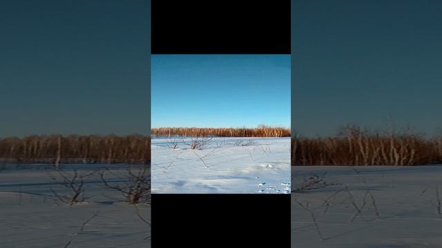 Наша природа#Shorts