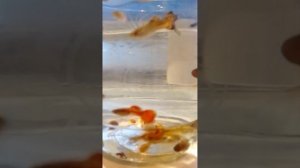 Смесь обычных гуппи и гуппи Эндлера