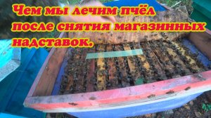 ЧЕМ МЫ ЛЕЧИМ ПЧЁЛ ОТ КЛЕЩА ПОСЛЕ СНЯТИЯ МЕДОВЫХ НАДСТАВОК.