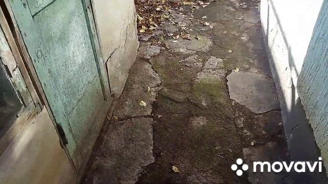 Сын убирает в саду, я готовлю обед. Вспомнила картошку в углях. смотреть онлайн