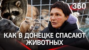 Друзья человека: как в Донецке спасают животных во время военных действий