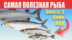 Рыбий Жир Омега 3 в Какой Рыбе Больше Всего. Самая Полезная Рыба из 30 - Таблицы Полезных Веществ