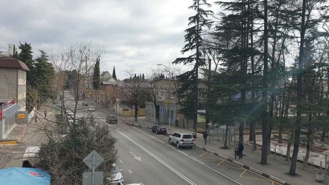 Мимоза цветет. Мыльное дерево. Лазаревское Сочи. Погода в феврале 2023 года. Воздух +6°C, море +10° смотреть онлайн