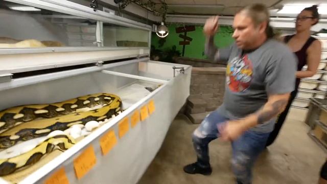 Забираем яйца у огромного питона! смотреть онлайн