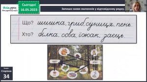 Розрізняємо слова, які відповідають на питання хто?що? 1 клас