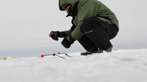 Корюшка ЮДФЗ 20.02.2021г.