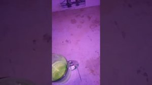 Жидкость которая светится в ультрафиолете