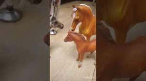 музыкальный фильм шляйх лошадей