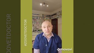 Колапс трахеи, стеноз, сужение трахеи у собак и кошек как это выглядит, симптомы. Совет ветеринара