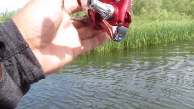 Ловим на поплавочную удочку.Болонская удочка.Краснопёрка рвёт поводки.