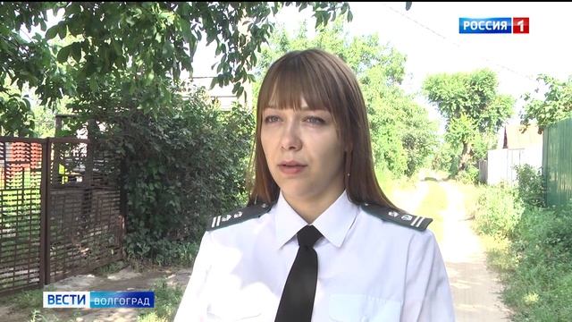 В Волгограде выявлен бактериальный ожог плодовых деревьев смотреть онлайн