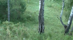 Рыбалка в живописных местах реки "УЙ"