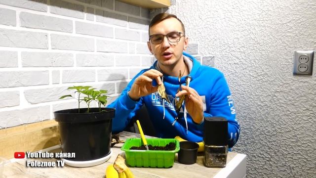 ОДНА ЧАЙНАЯ ЛОЖКА ЭТОЙ ОРГАНИКИ ЗАМЕНИТ 1 кг УДОБРЕНИЯ смотреть онлайн