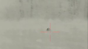 Тепловизионный прицел iRay Saim SCT 35 V2 - медведь и кабан съемка на тепловизор