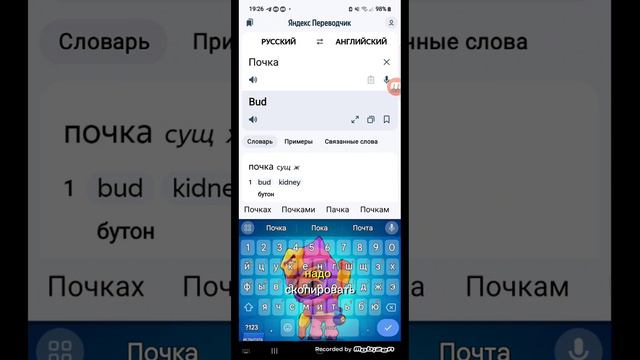 (; почка;(