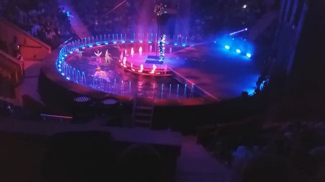 ВОДНОЕ ПРЕДСТАВЛЕНИЕ В ГОМЕЛЬСКОМ ЦИРКЕ /Видео № 1505 смотреть онлайн