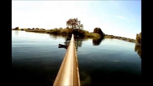 обзор весеннего озера+утенок.!