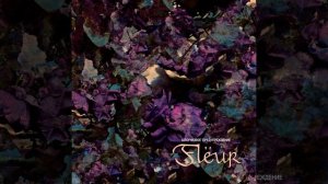 Зеркальный портал