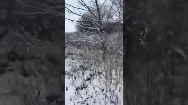 27 октября 2023 г. смотреть онлайн