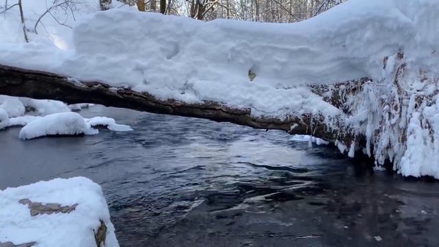 Зимний лес. Хруст снега. Журчание ручья -28C