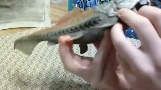 Помните ту панцерную рыбу из позапрошлого видео ? Тогда новый обзор игрушки дунклеостей