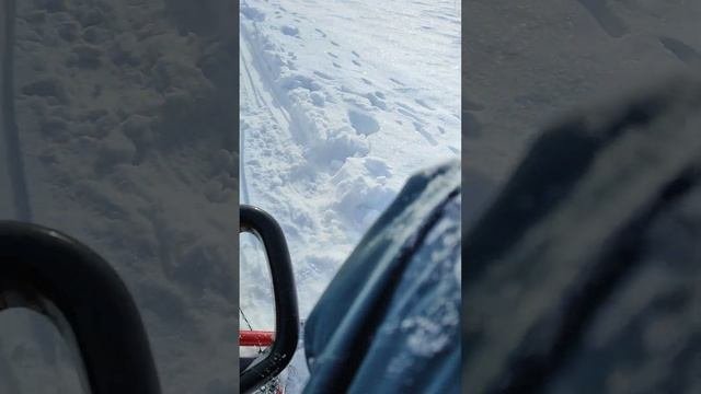 сезон официально открыт