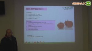 Пинк импрешн F1 томат (Sakata) семинар 24.11.2016