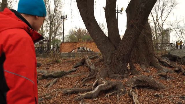 Что делать в пасмурную погоду? | Пособие для жизни! смотреть онлайн