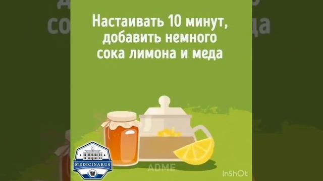 Зімбір Имбирь зімбірдің пайдасы польза имбиря