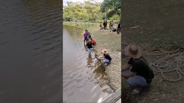 Rc Boat Fun Race Continues