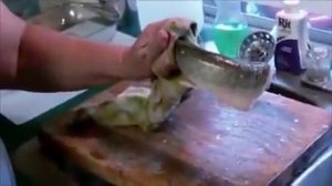 Живая рыба без головы кусается