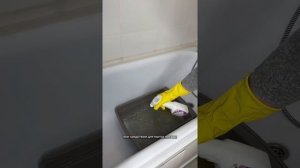 Как правильно менять кошачий лоточек. Подробный туториал