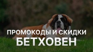 ⚠️ Промокод Бетховен: Все о Скидках и Купонах Bethowen - Промокоды Бетховен