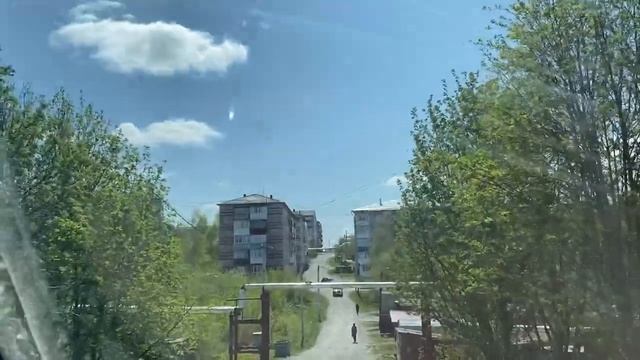 Черемуха душистая .Прогулка по городу.