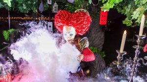 Алиса в Зазеркалье на детский праздник