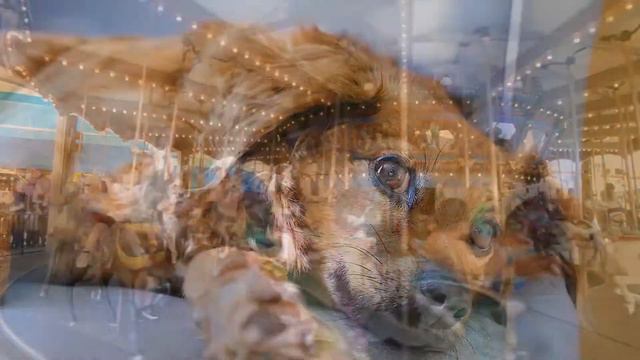 БРАТЬЯ НАШИ МЕНЬШИЕ смотреть онлайн