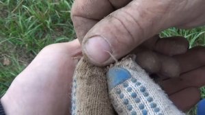 Поиск монет с эквинокс 600 чешуйки