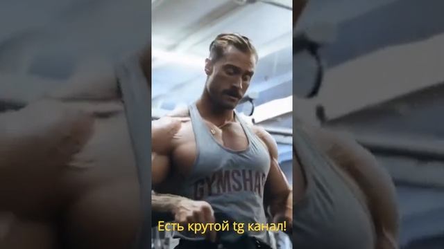 Как надо заниматься в тренажерном зале