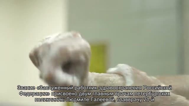 Петербургские врачи получили государственные награды из рук губернатора смотреть онлайн