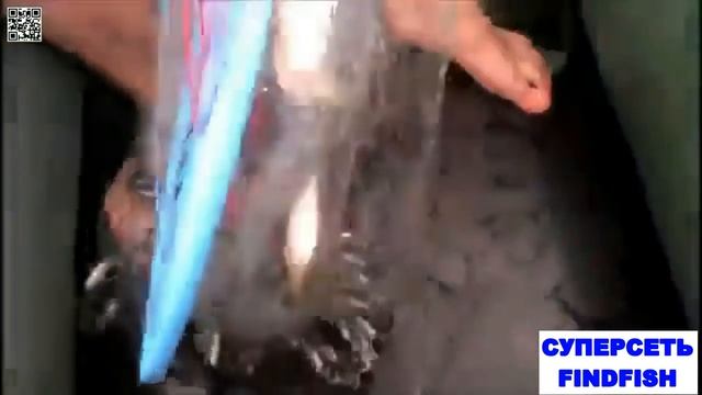 Техника заброса кастинговой сети c большим кольцом. Отзывы, цена, купить.