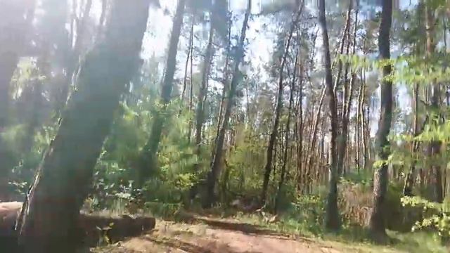Анализ персонажей Альбер Камю 