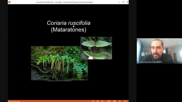 BIO222: Rosidas parte II смотреть онлайн