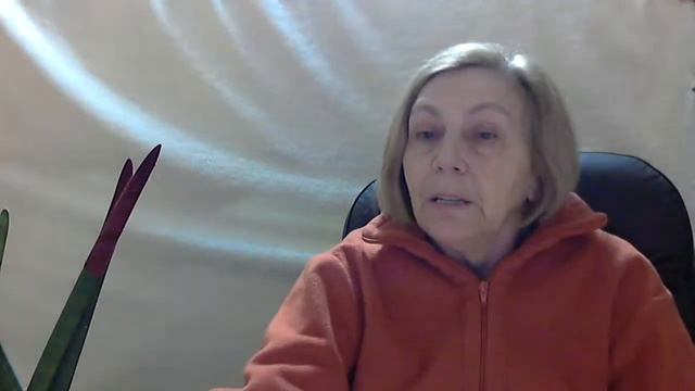 Сансевиерия. Что делать? Как помочь? смотреть онлайн